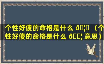 个性好傻的命格是什么 🦊 （个性好傻的命格是什么 🐦 意思）